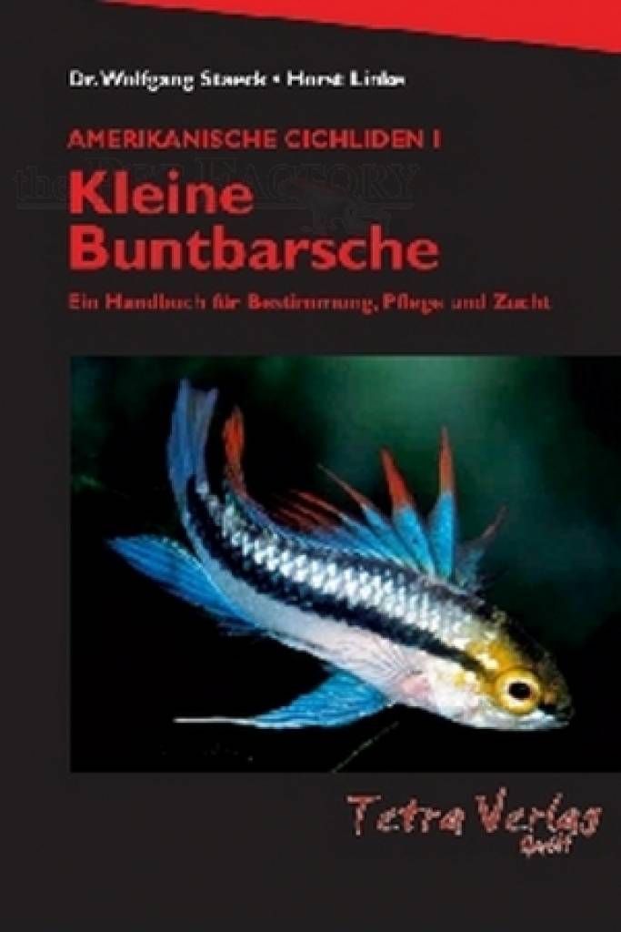 Kleine Buntbarsche (Amerikanische Cichliden I)